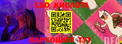 стафф Новодвинск