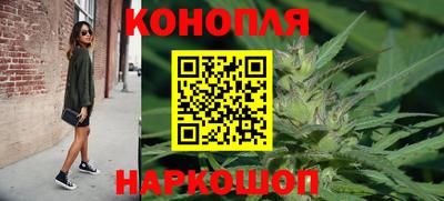 стафф Новодвинск