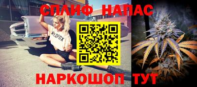 стафф Новодвинск
