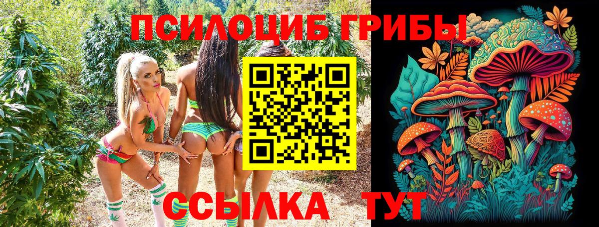 Галлюциногенные грибы Psilocybe Чебоксары